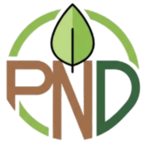 PND - Propósito no Dinheiro